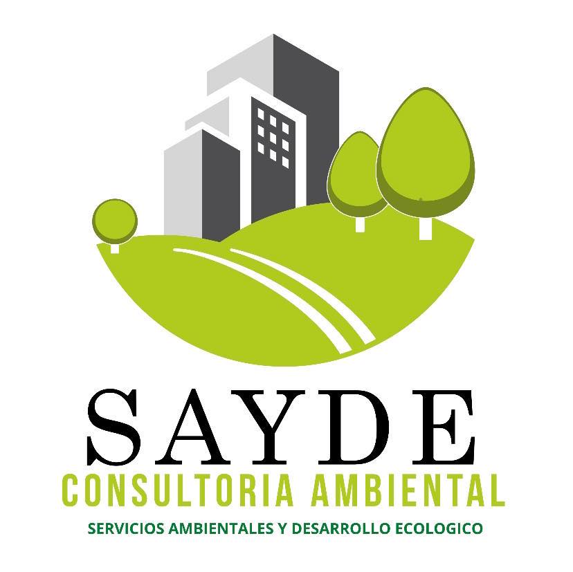 SAYDE