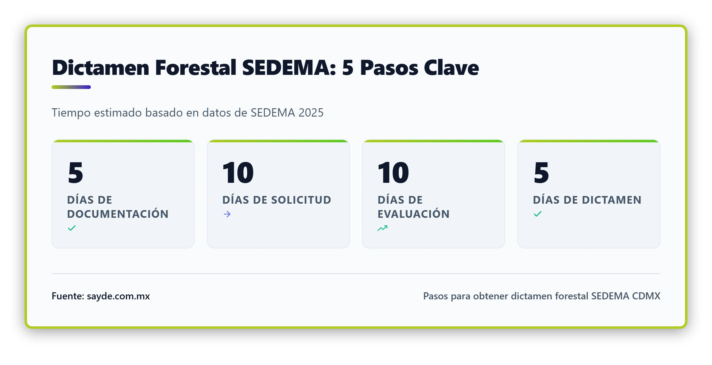 Checklist visual del proceso de obtención del dictamen forestal, con iconos para cada paso y tiempos estimados.